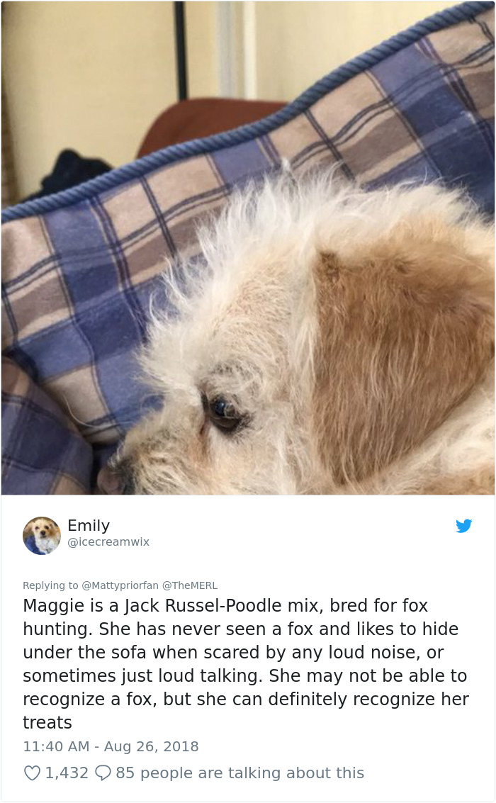 Failed-Working-Dog-Story-Twitter