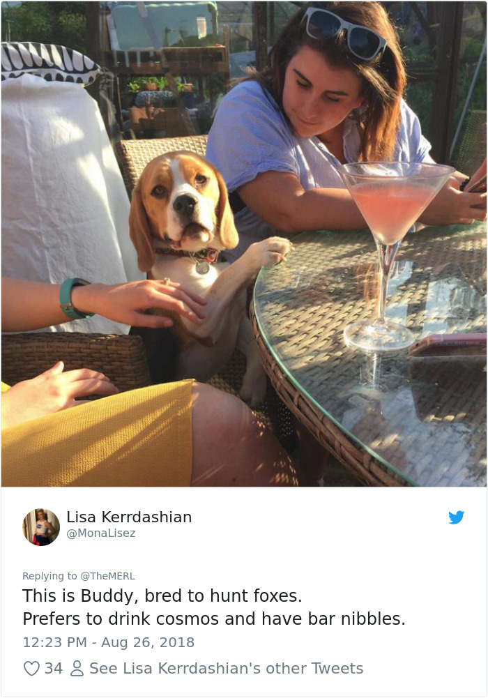 Failed-Working-Dog-Story-Twitter