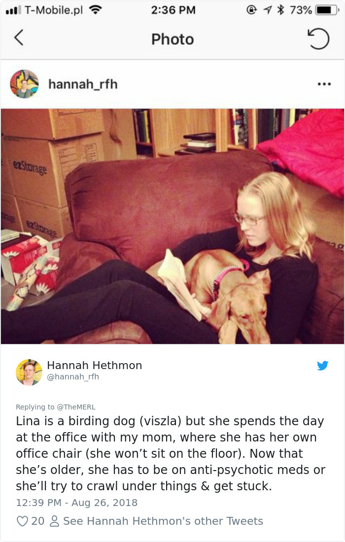 Failed-Working-Dog-Story-Twitter