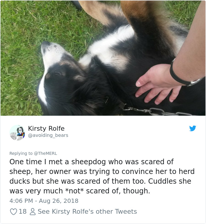 Failed-Working-Dog-Story-Twitter