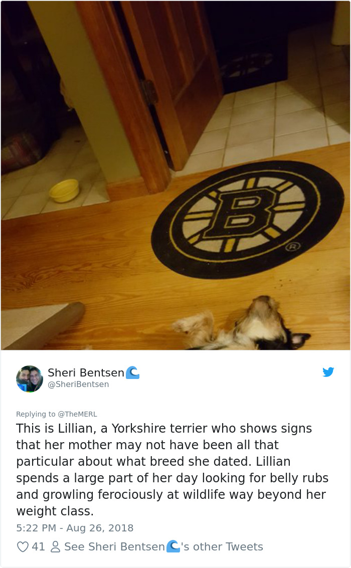 Failed-Working-Dog-Story-Twitter