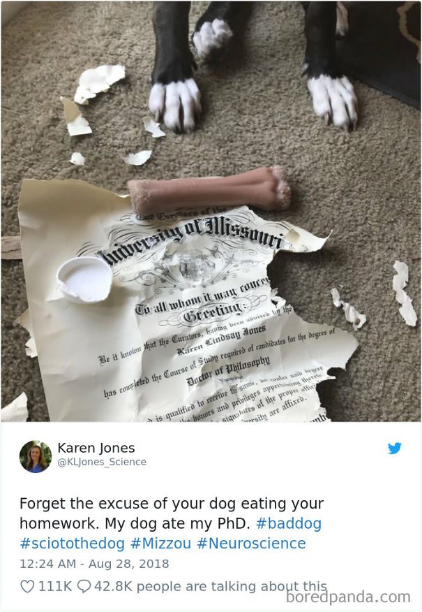 Good Luck Using That Excuse