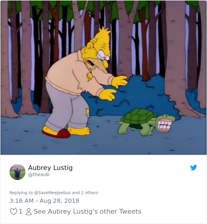 Dog Steals Owner's Dentures While He Sleeps, Hilarity Ensues