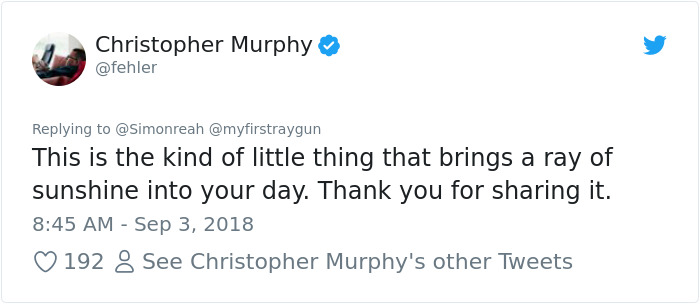 This Charity Shop Added A Picture Of Jeff Goldblum In Every Photo Frame They Had And It's Amusing This Charity Shop Added A Picture Of Jeff Goldblum In Every Photo Frame They Had And It's Amusing