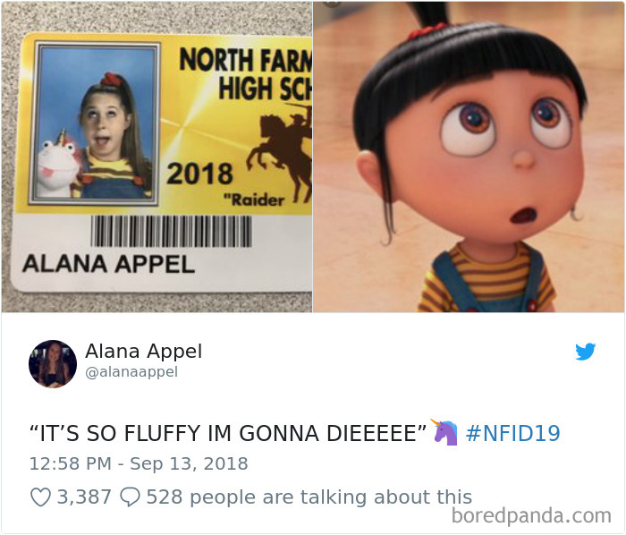 Funny Senior Student Id