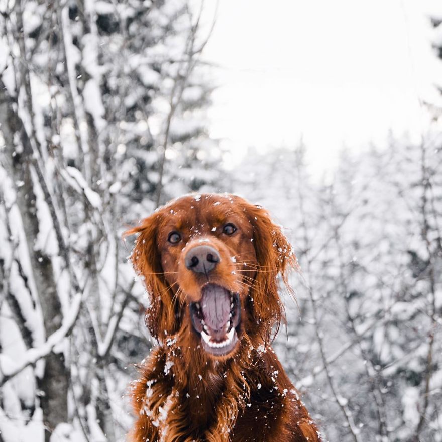 The-Secret-Life-Of-Troja-Photography-George