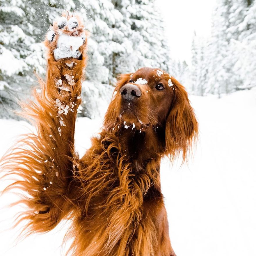 The-Secret-Life-Of-Troja-Photography-George