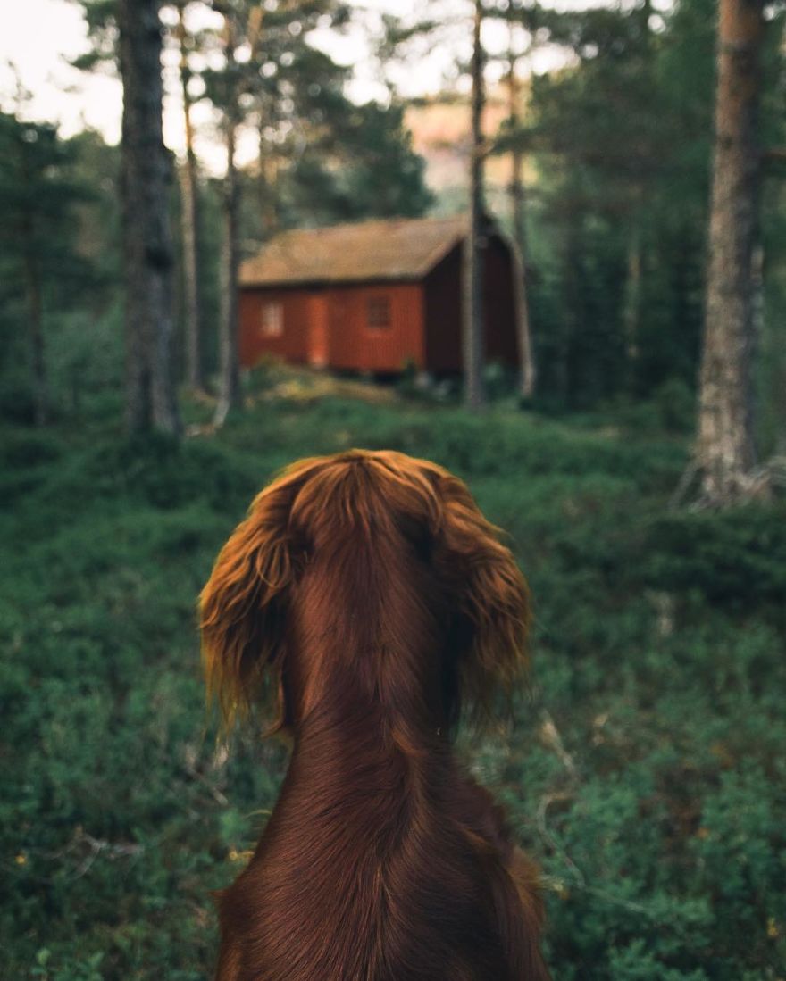 The-Secret-Life-Of-Troja-Photography-George