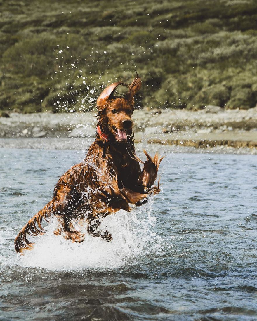 The-Secret-Life-Of-Troja-Photography-George