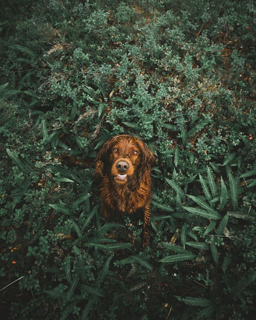 The-Secret-Life-Of-Troja-Photography-George