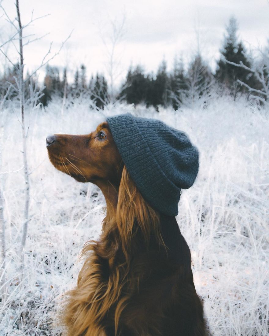 The-Secret-Life-Of-Troja-Photography-George