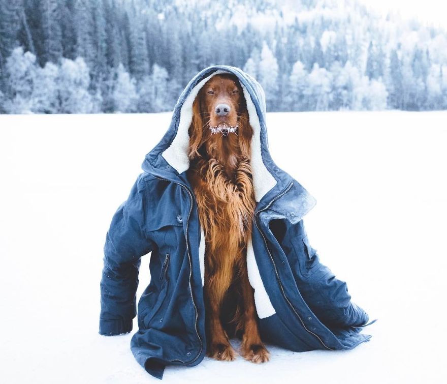 The-Secret-Life-Of-Troja-Photography-George