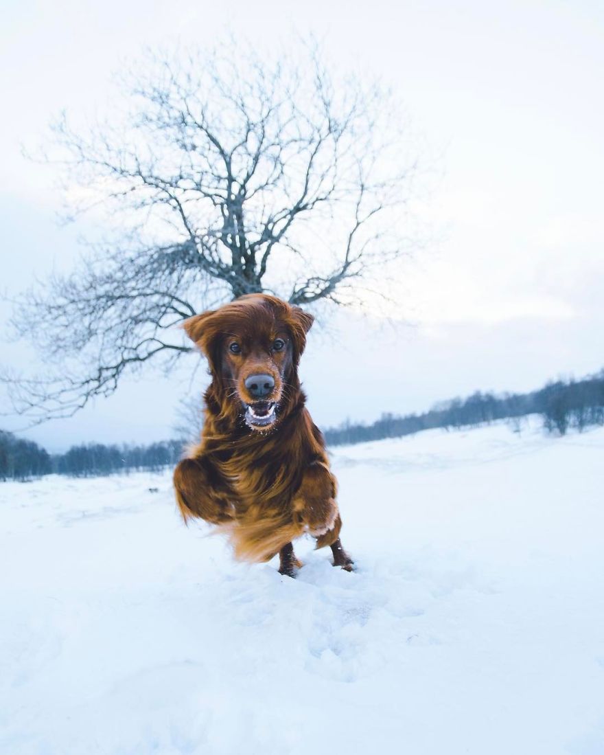 The-Secret-Life-Of-Troja-Photography-George