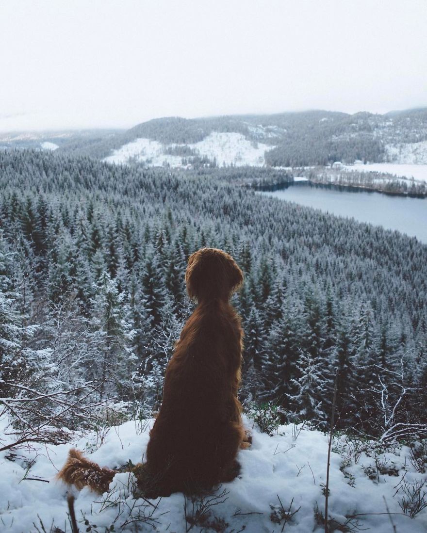 The-Secret-Life-Of-Troja-Photography-George