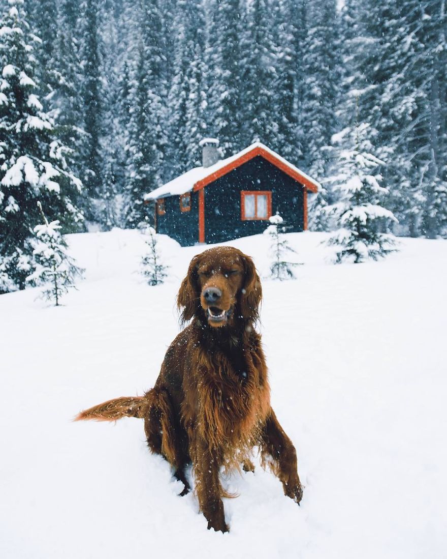 The-Secret-Life-Of-Troja-Photography-George