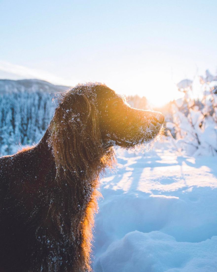 The-Secret-Life-Of-Troja-Photography-George