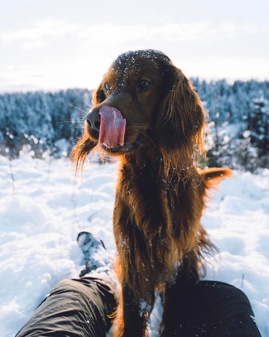 The-Secret-Life-Of-Troja-Photography-George