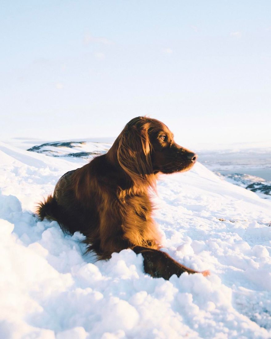 The-Secret-Life-Of-Troja-Photography-George