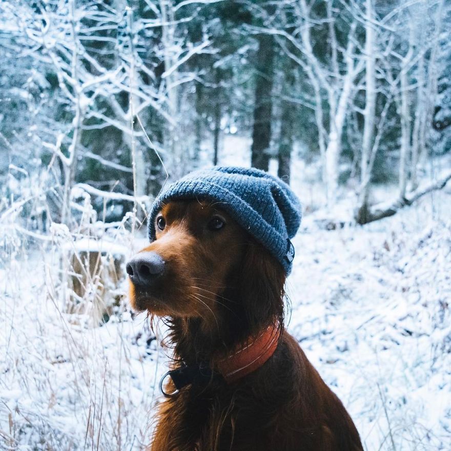 The-Secret-Life-Of-Troja-Photography-George