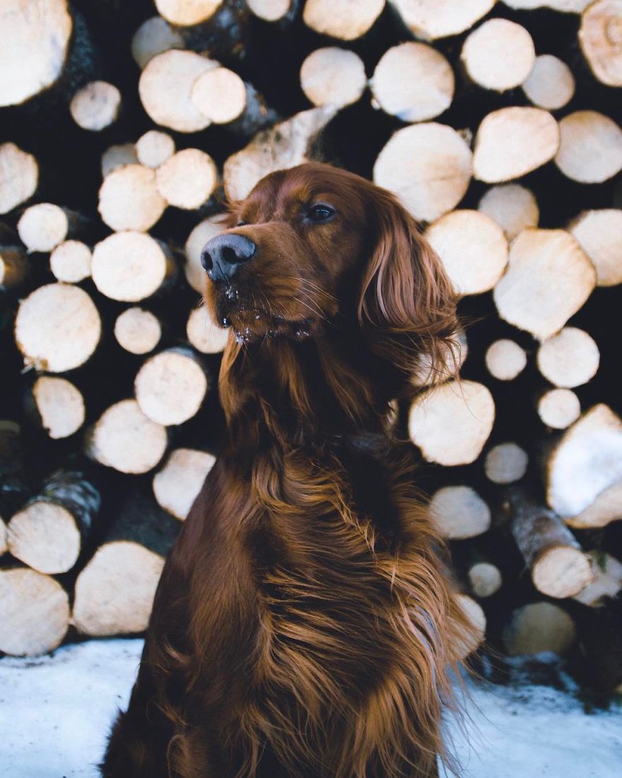 The-Secret-Life-Of-Troja-Photography-George