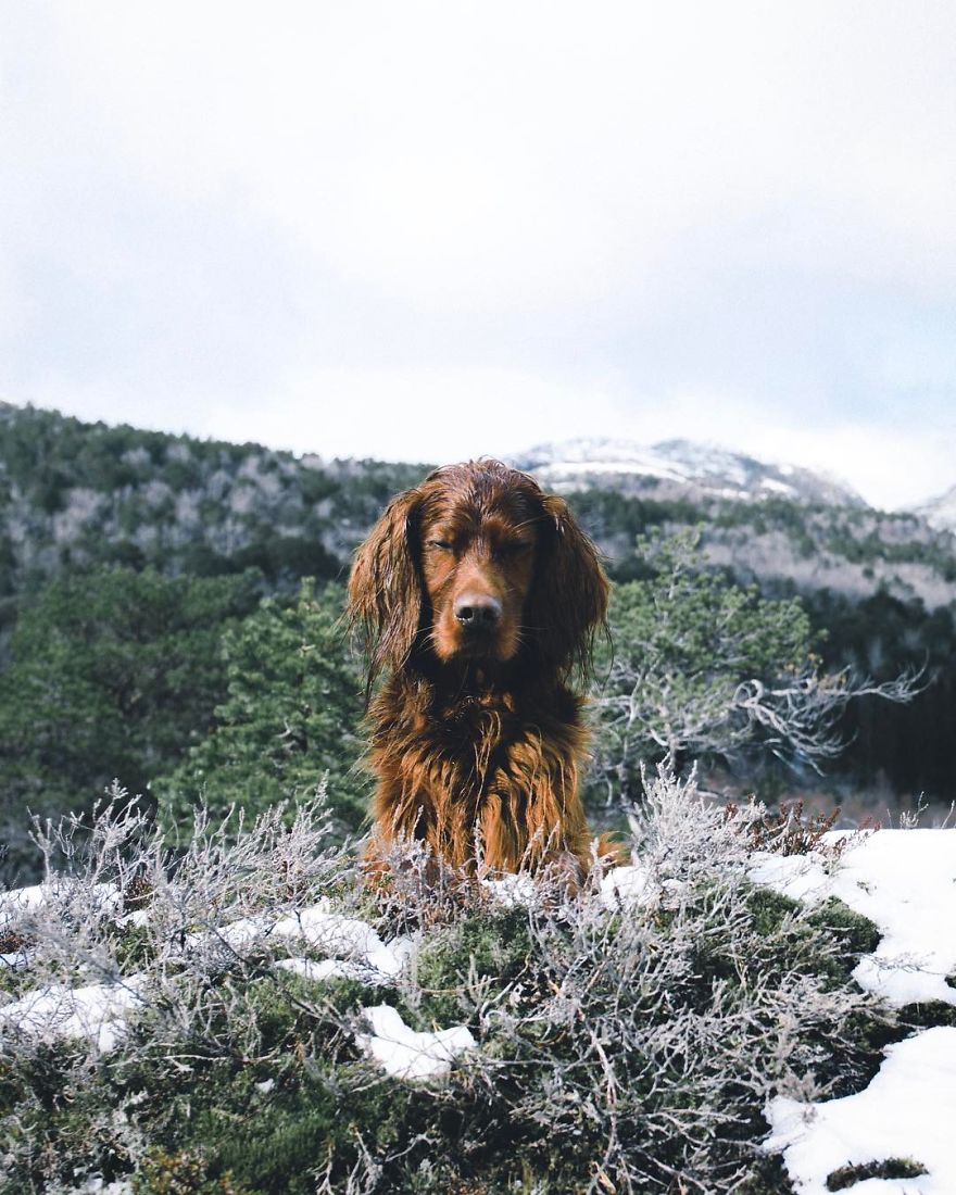 The-Secret-Life-Of-Troja-Photography-George