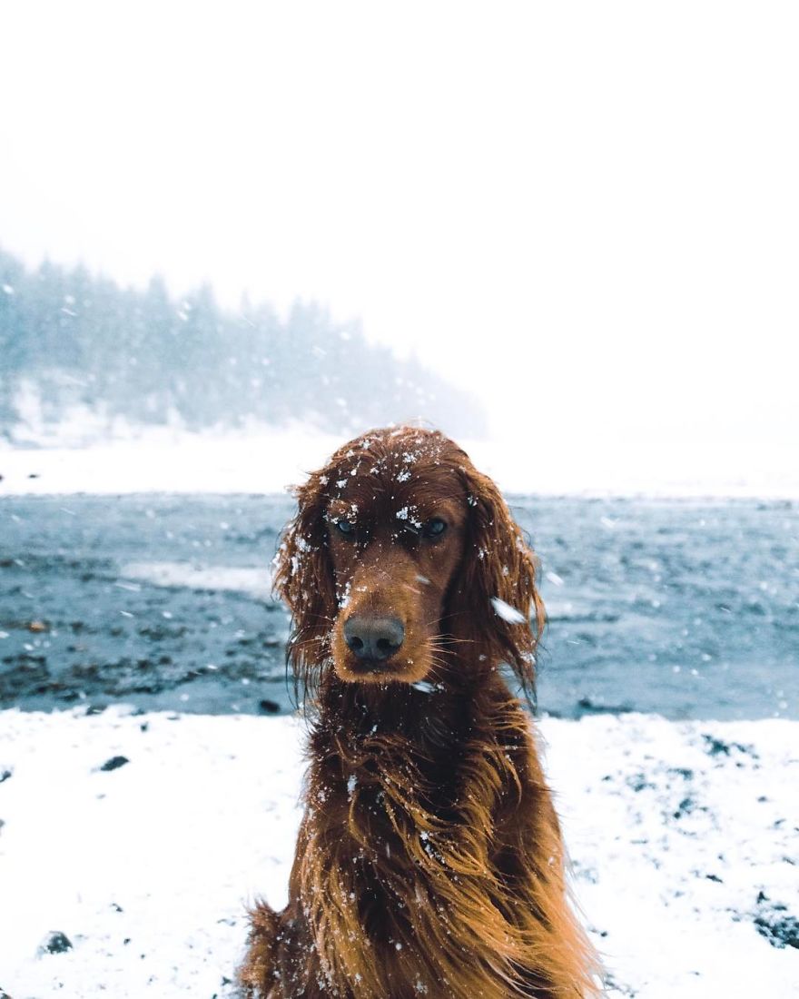 The-Secret-Life-Of-Troja-Photography-George