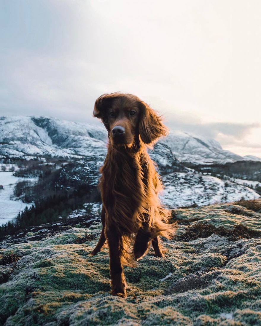 The-Secret-Life-Of-Troja-Photography-George