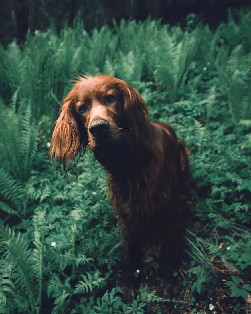 The-Secret-Life-Of-Troja-Photography-George