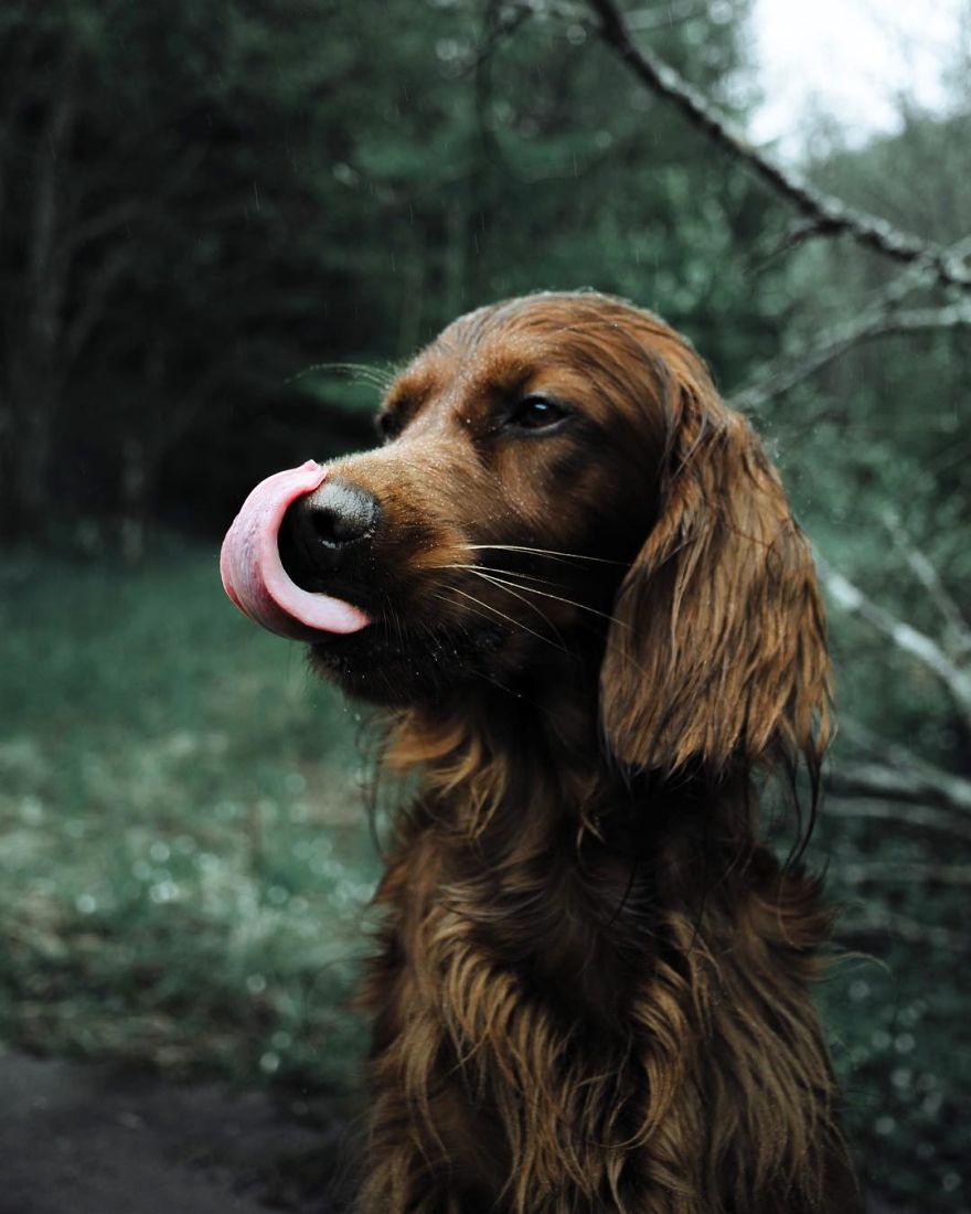 The-Secret-Life-Of-Troja-Photography-George