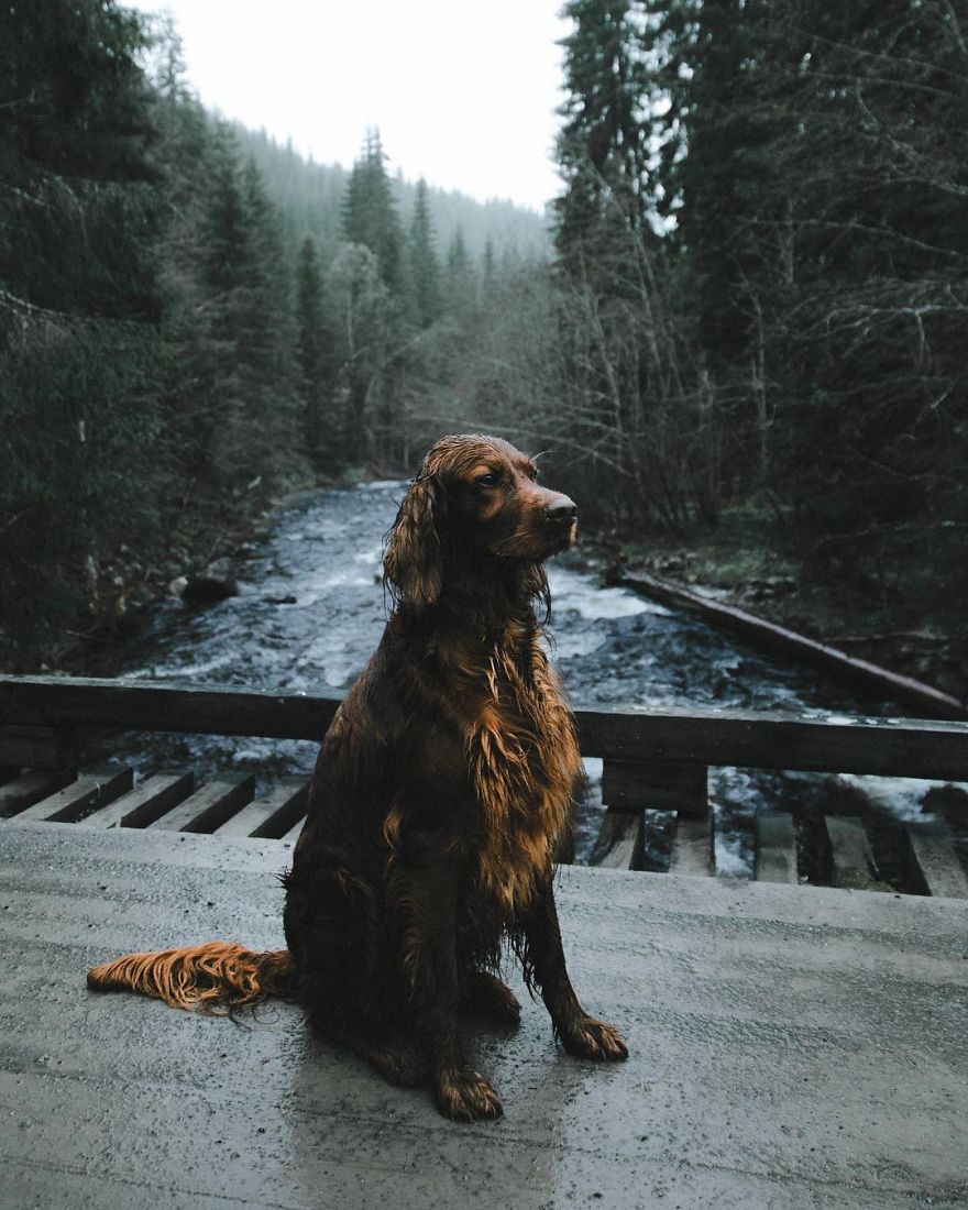 The-Secret-Life-Of-Troja-Photography-George