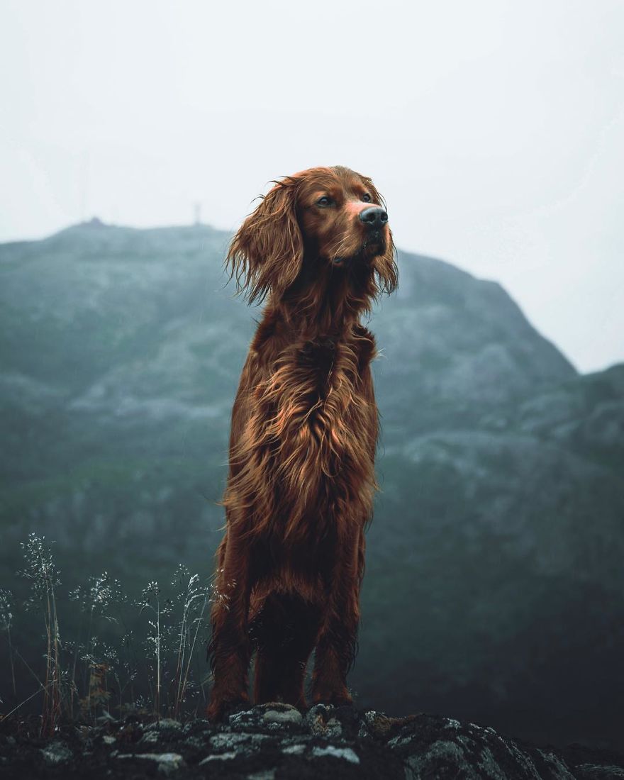 The-Secret-Life-Of-Troja-Photography-George