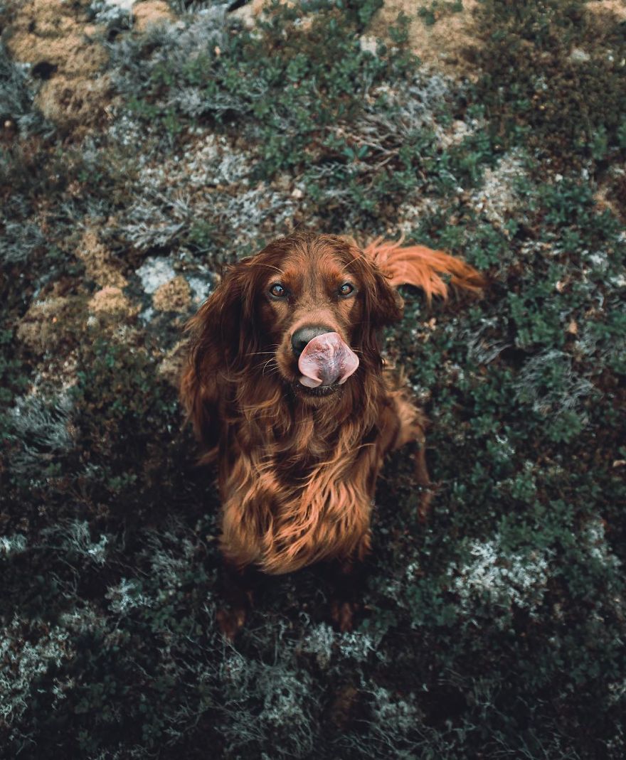 The-Secret-Life-Of-Troja-Photography-George