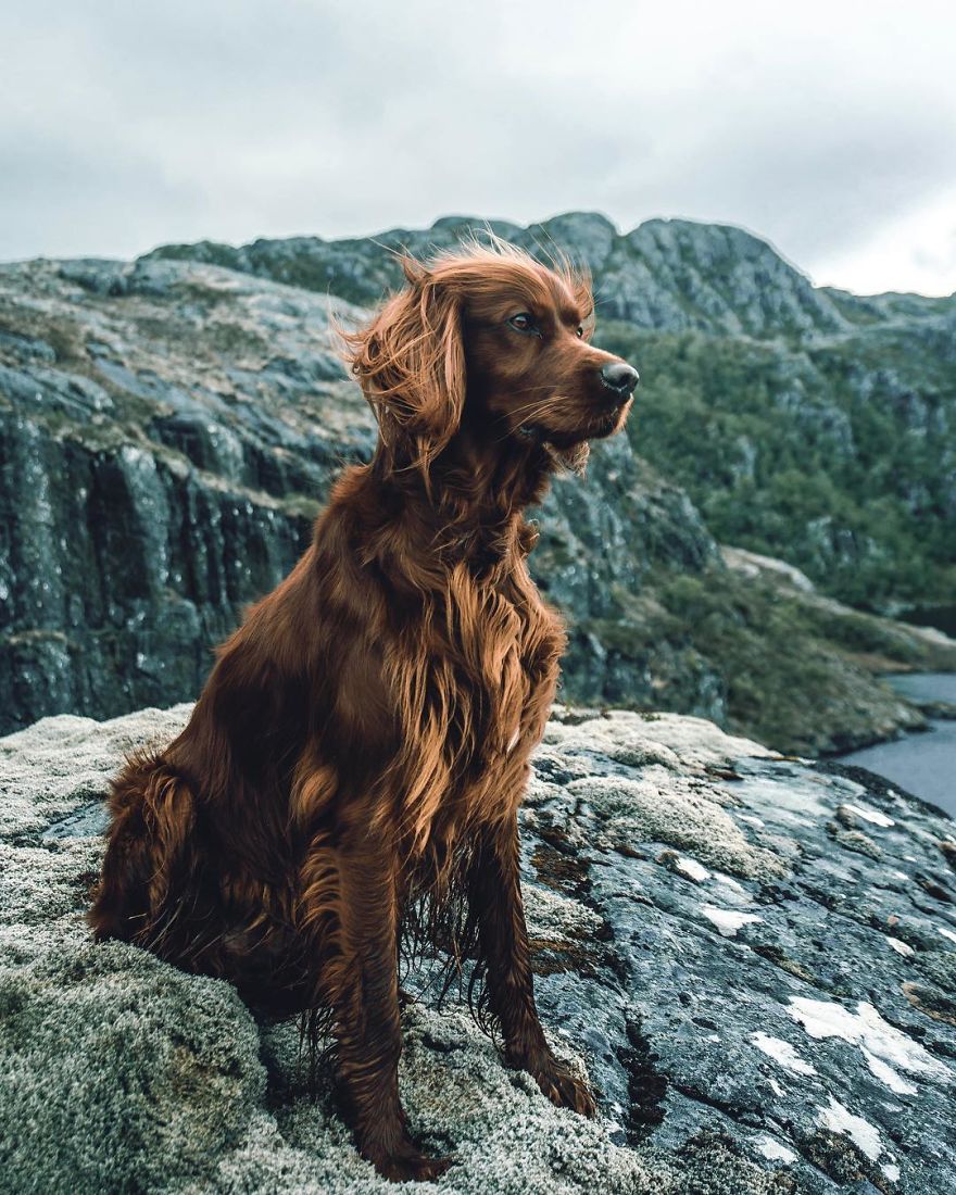 The-Secret-Life-Of-Troja-Photography-George