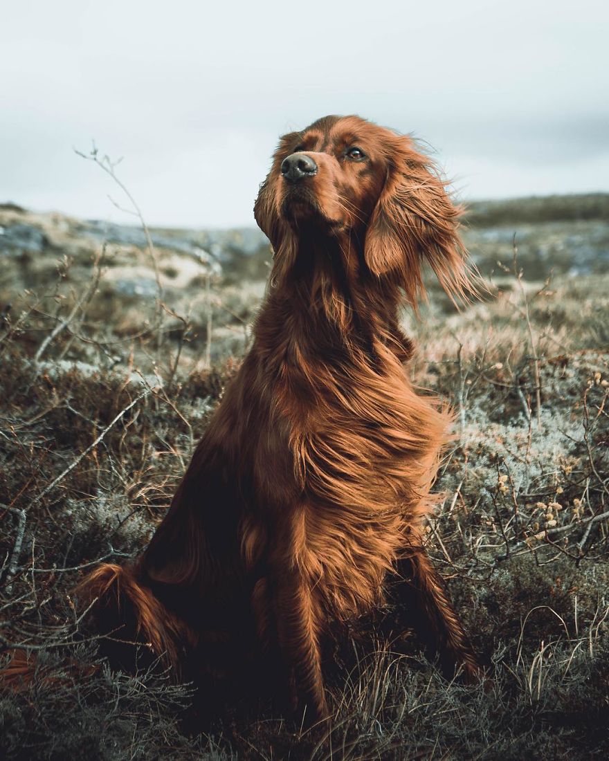 The-Secret-Life-Of-Troja-Photography-George