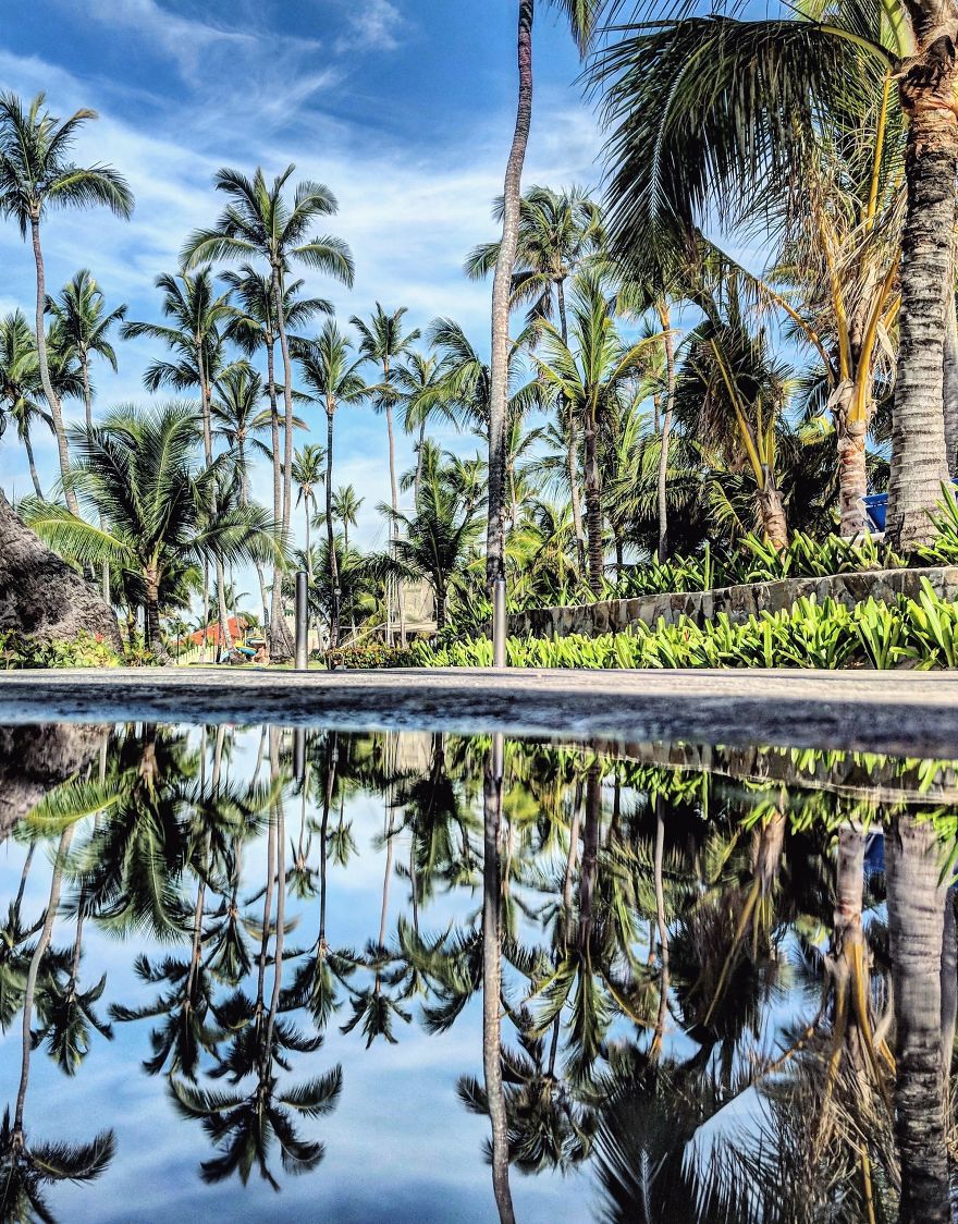 Travelling Through The Parallel Worlds Of Puddels (New Pics)