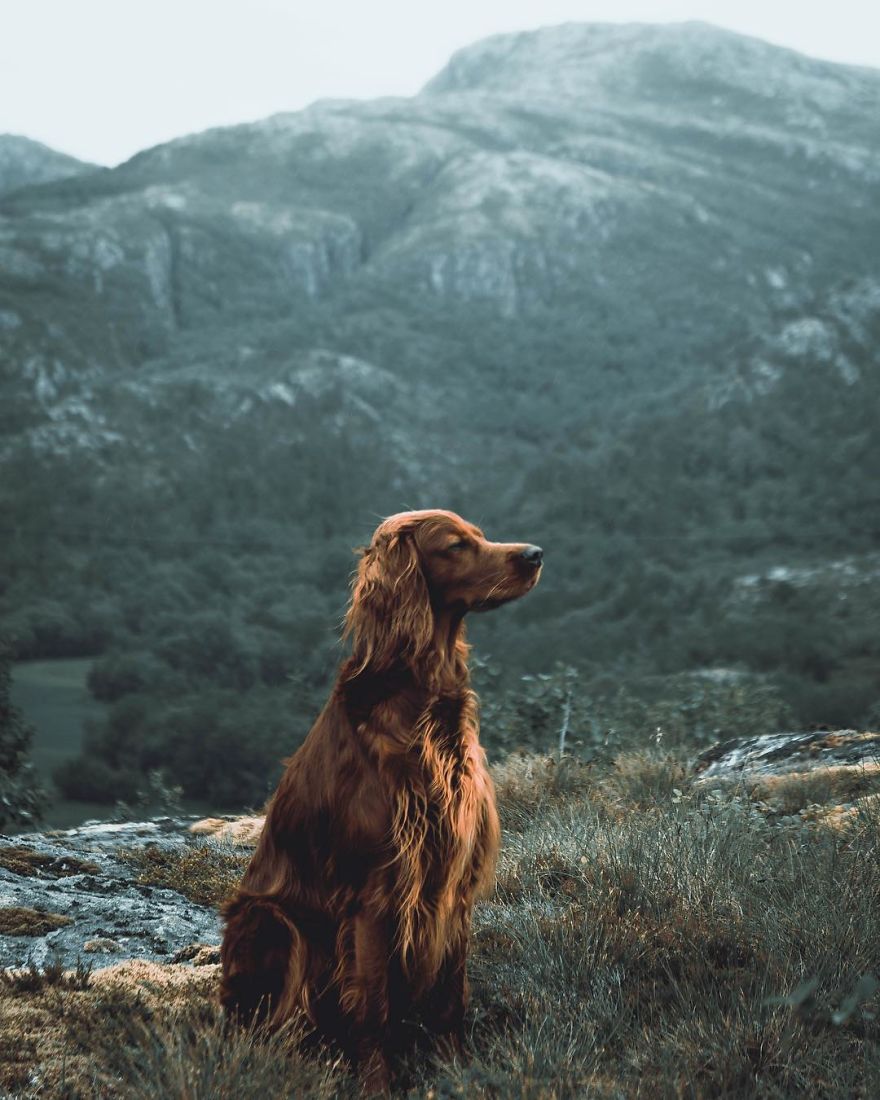 The-Secret-Life-Of-Troja-Photography-George