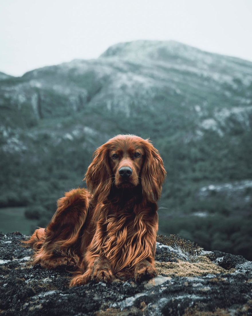 The-Secret-Life-Of-Troja-Photography-George