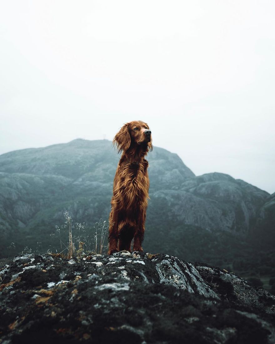 The-Secret-Life-Of-Troja-Photography-George