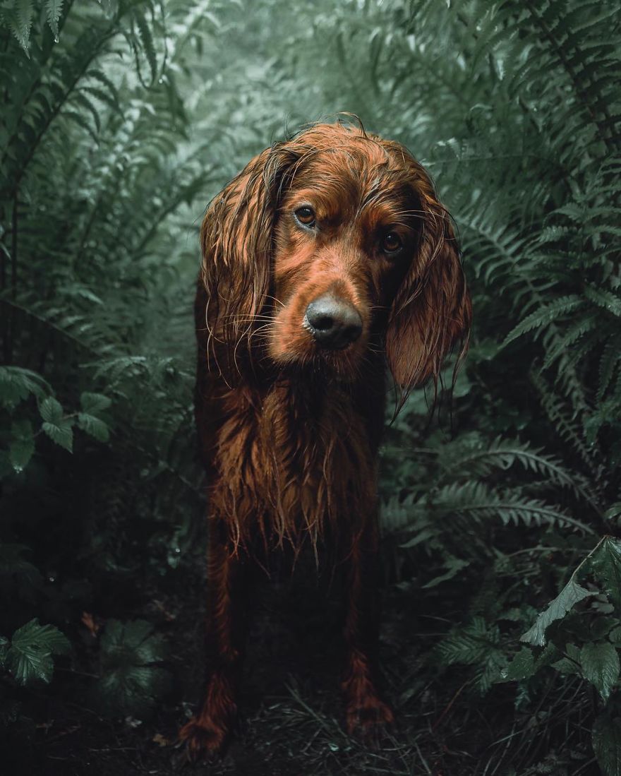 The-Secret-Life-Of-Troja-Photography-George