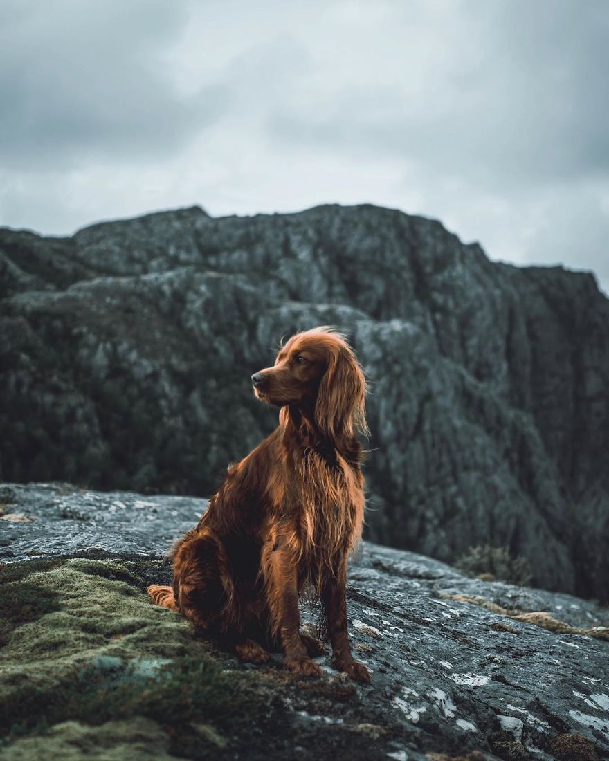 The-Secret-Life-Of-Troja-Photography-George