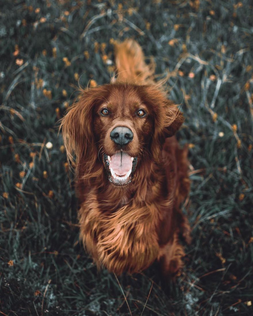 The-Secret-Life-Of-Troja-Photography-George