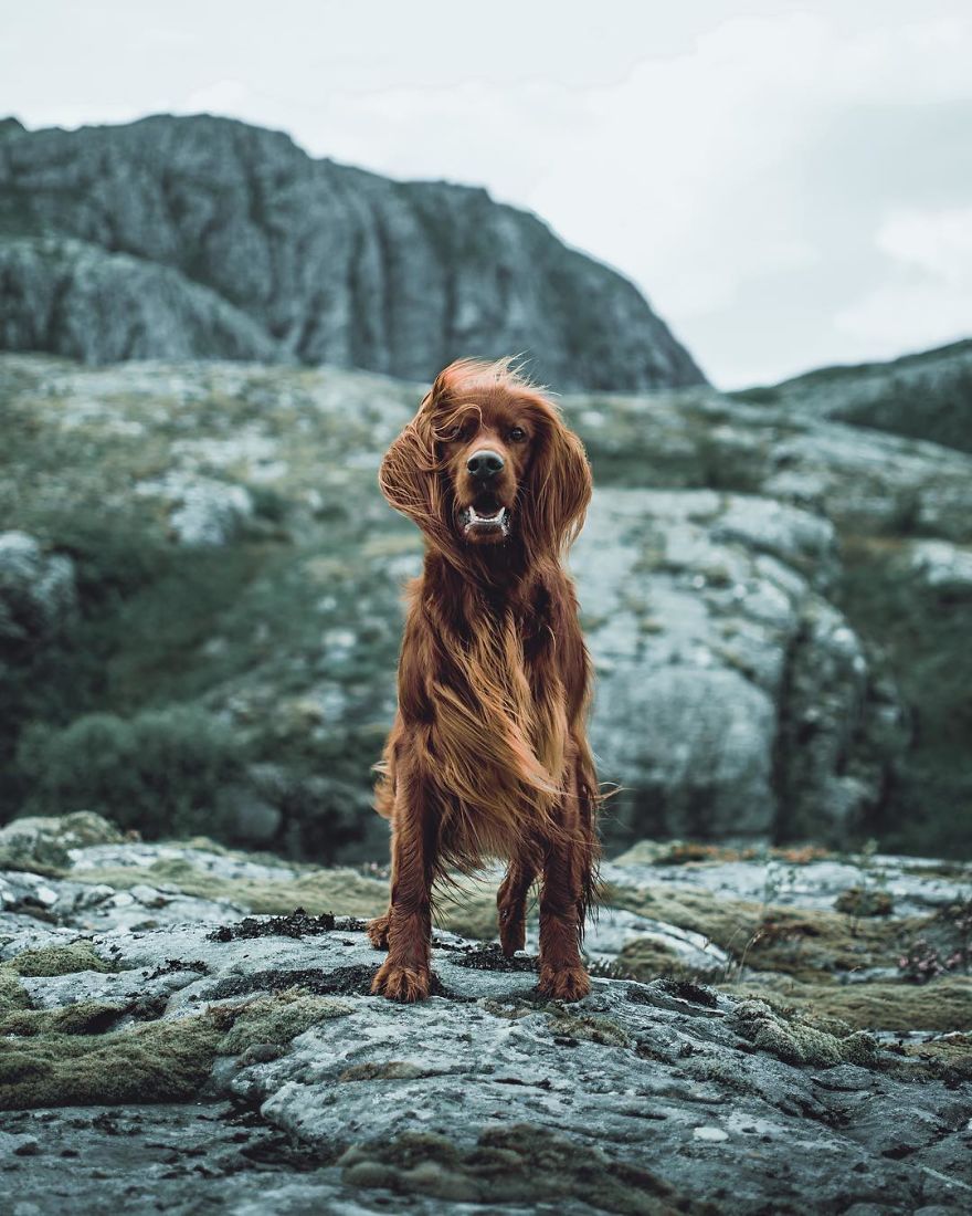 The-Secret-Life-Of-Troja-Photography-George