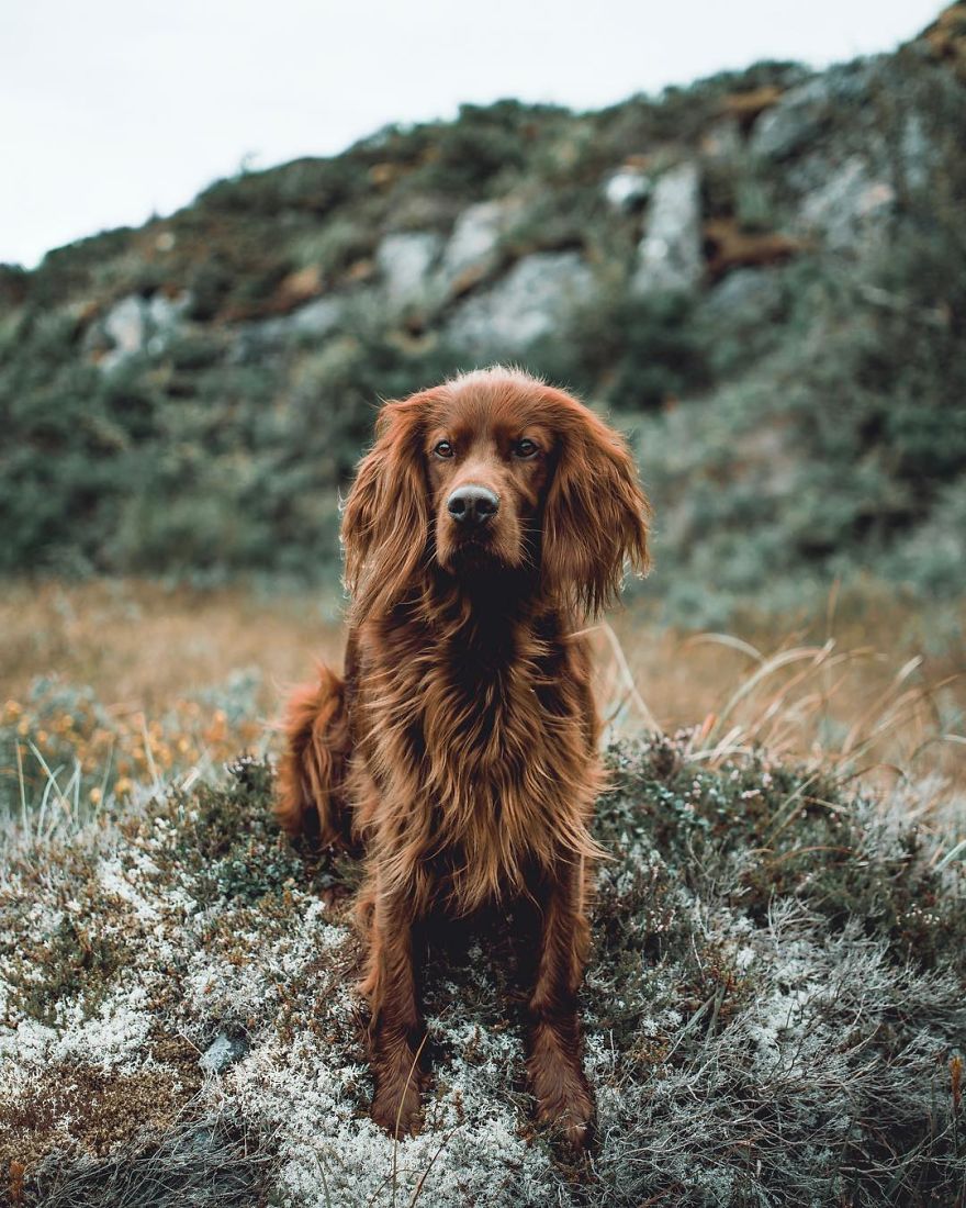 The-Secret-Life-Of-Troja-Photography-George