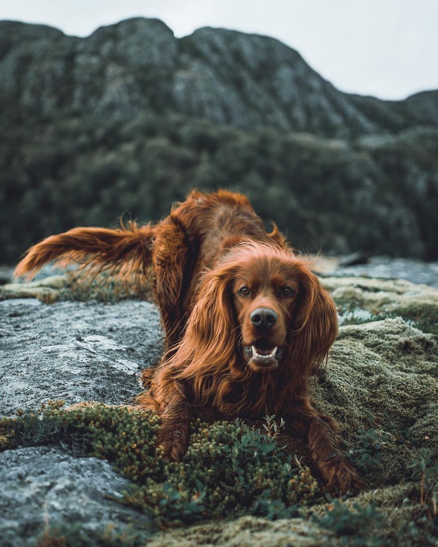 The-Secret-Life-Of-Troja-Photography-George