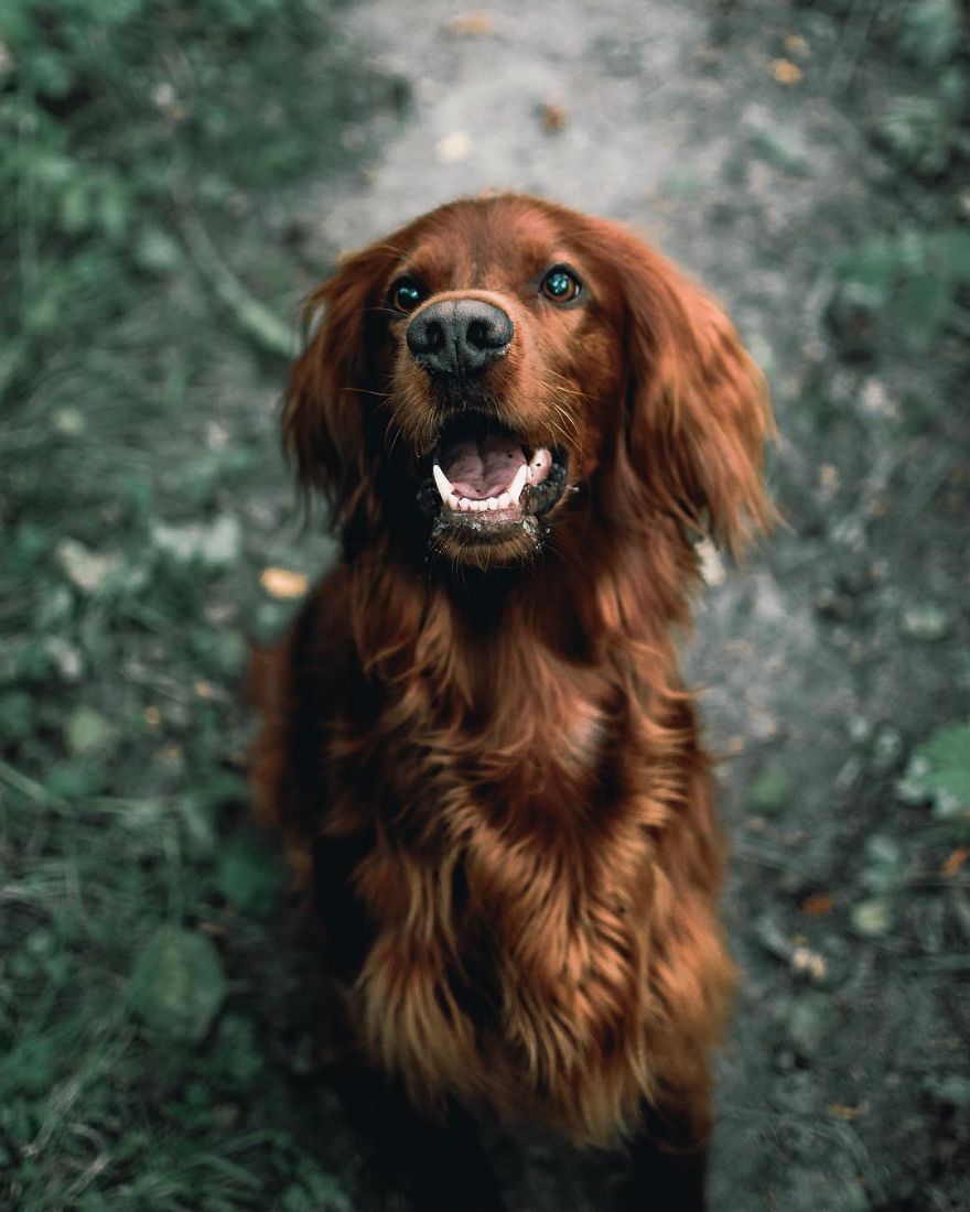 The-Secret-Life-Of-Troja-Photography-George