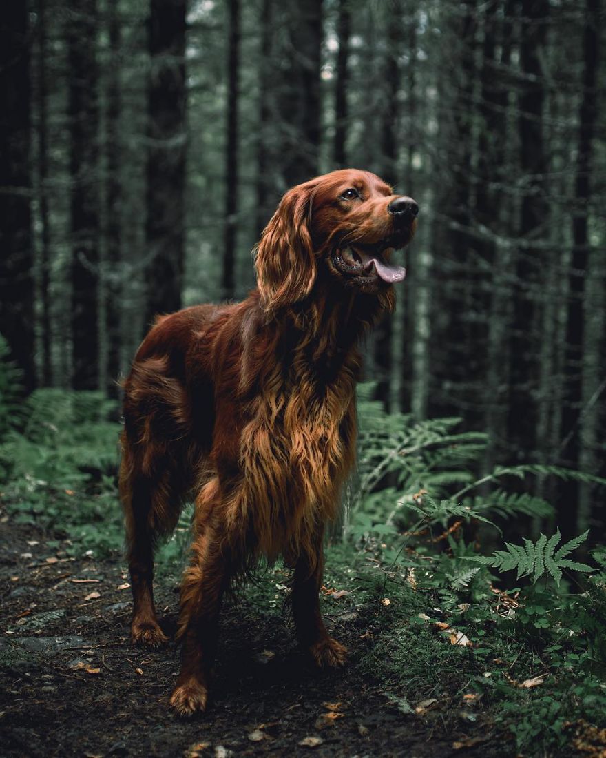 The-Secret-Life-Of-Troja-Photography-George