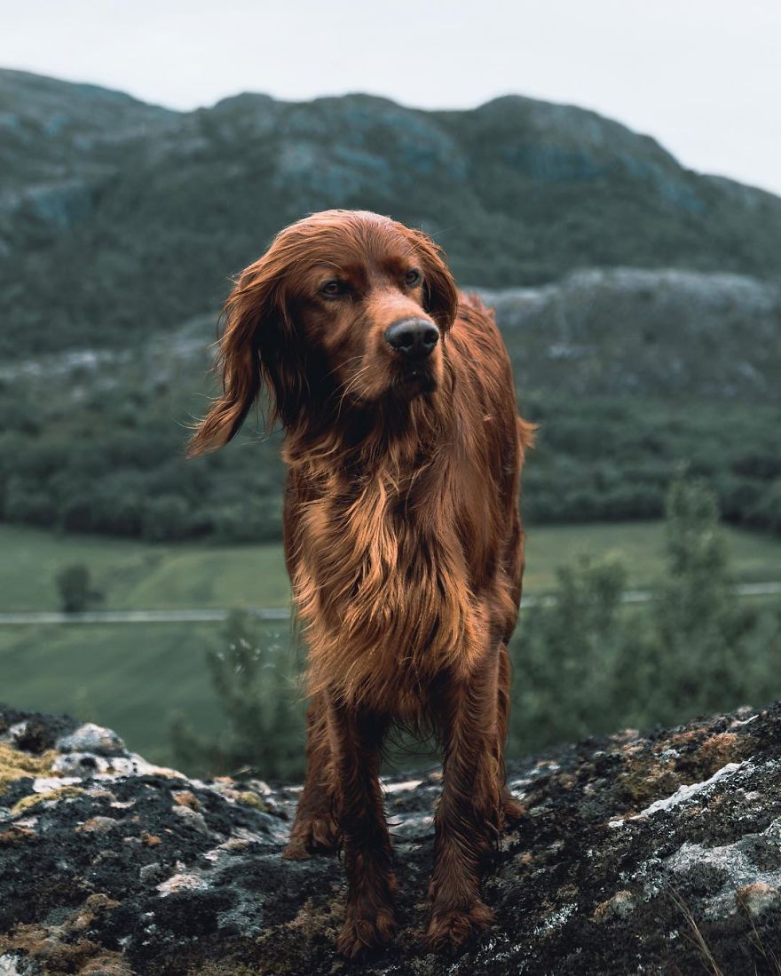 The-Secret-Life-Of-Troja-Photography-George