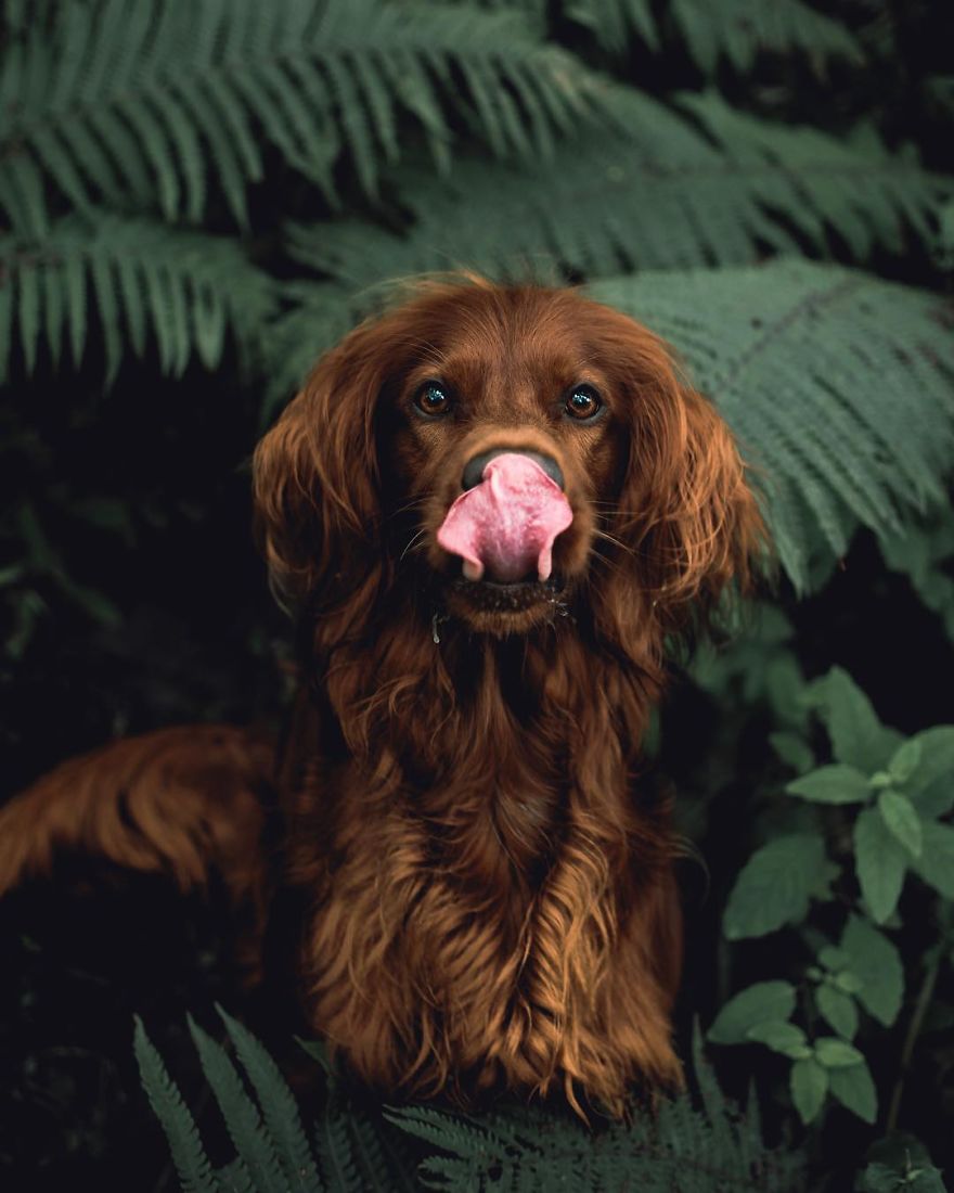 The-Secret-Life-Of-Troja-Photography-George