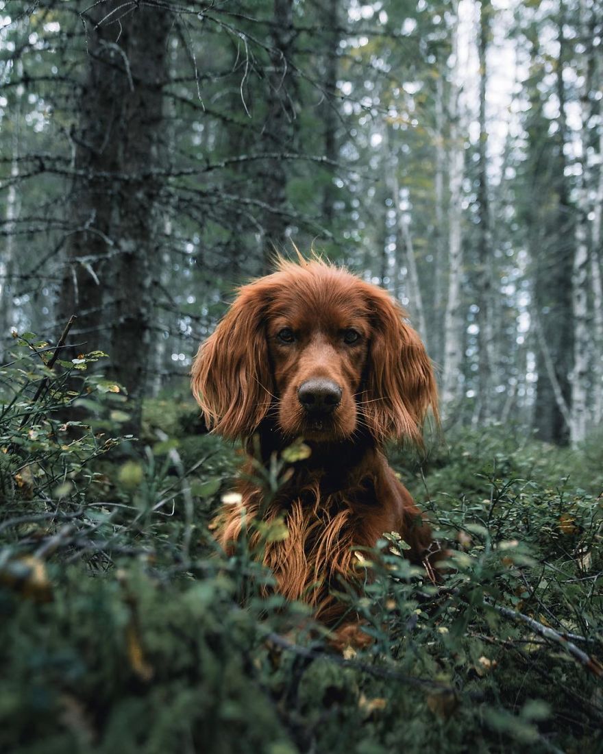 The-Secret-Life-Of-Troja-Photography-George