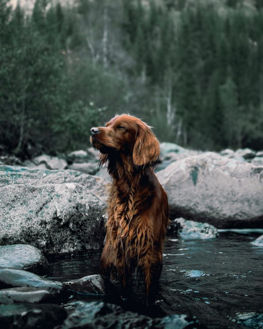 The-Secret-Life-Of-Troja-Photography-George